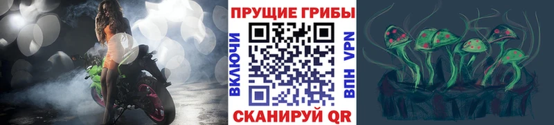 KRAKEN вход  Калачинск  Галлюциногенные грибы мухоморы 